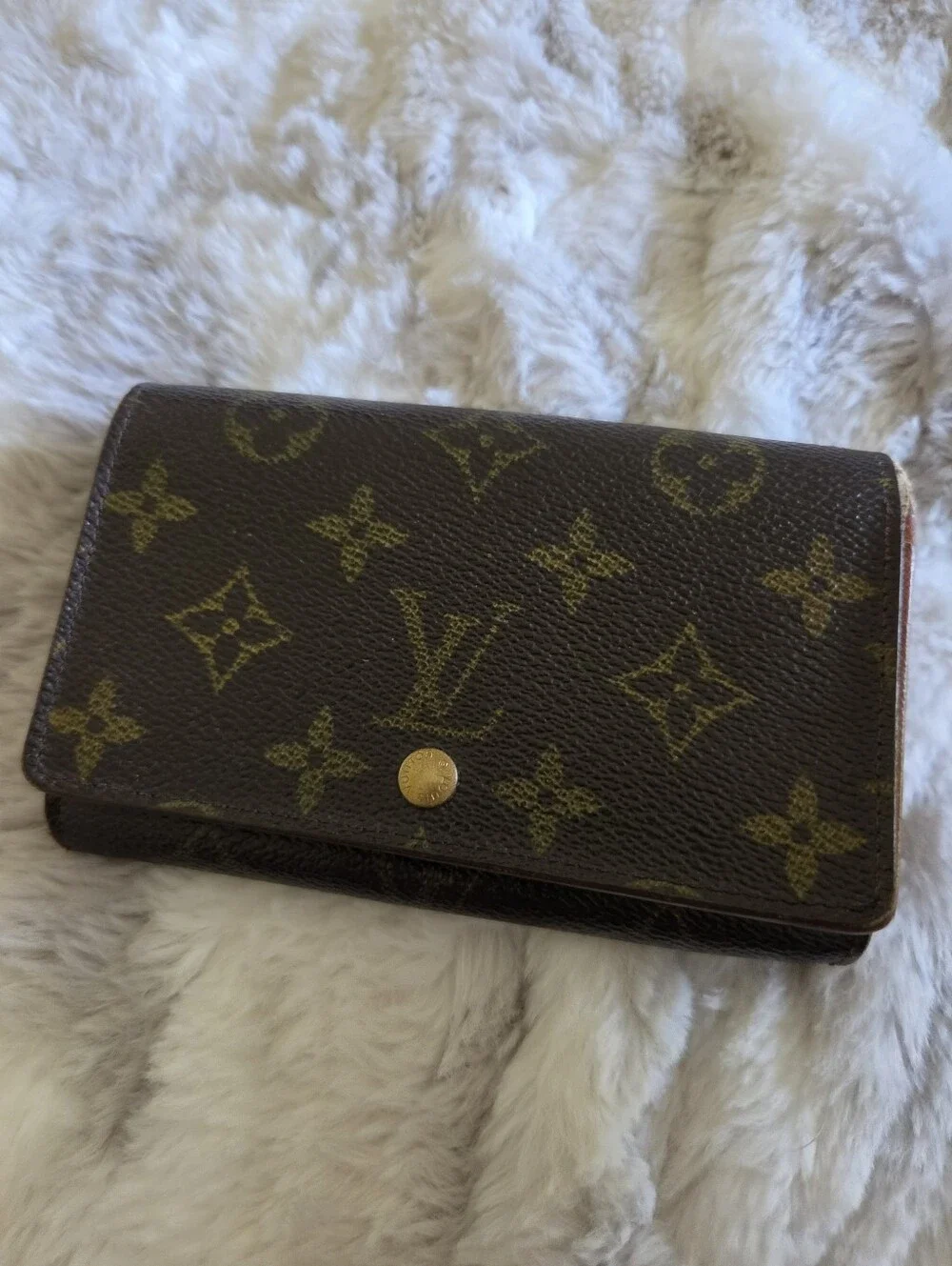 Vintage Louis Vuitton Project Wallet